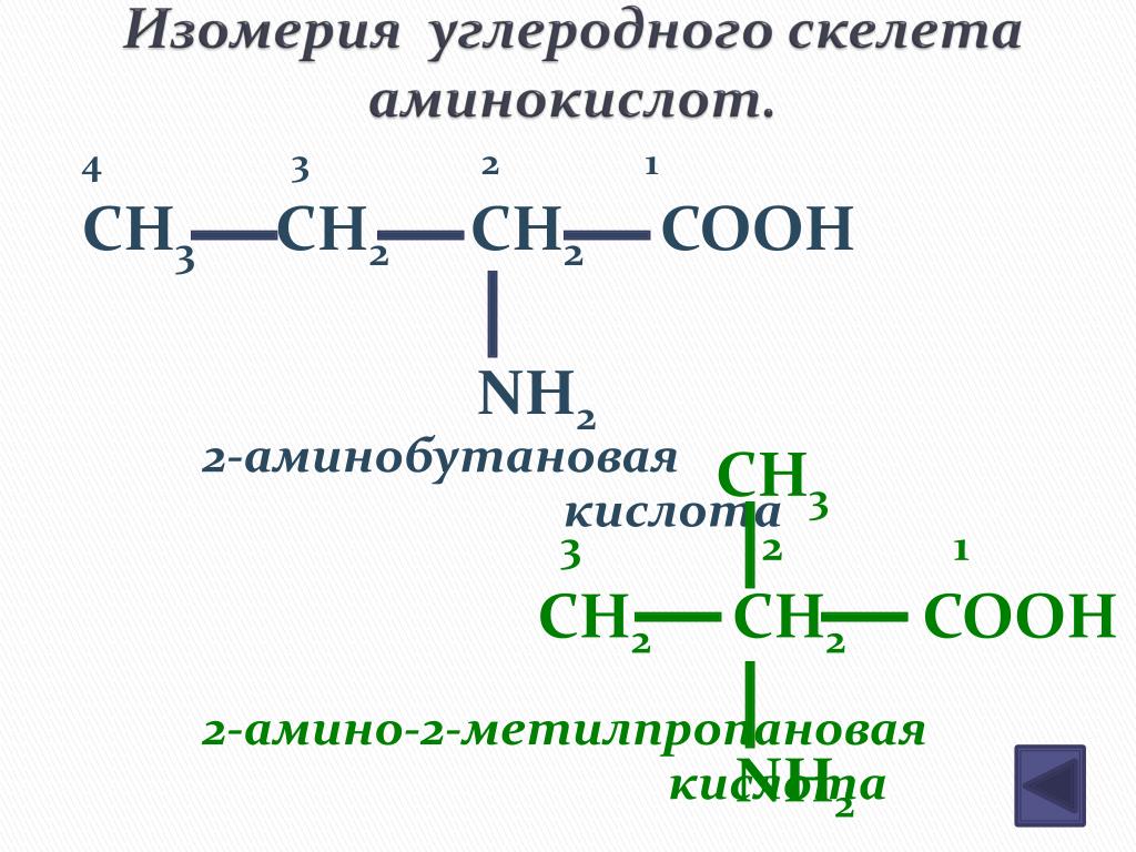 1 2 аминобутановая кислота. 2-Амино-2-метилпропановой кислоты. Амины изомерия углеродного скелета. 3 Амино 2 метилпропановая кислота. 3амино2метилпропановой кислоты.
