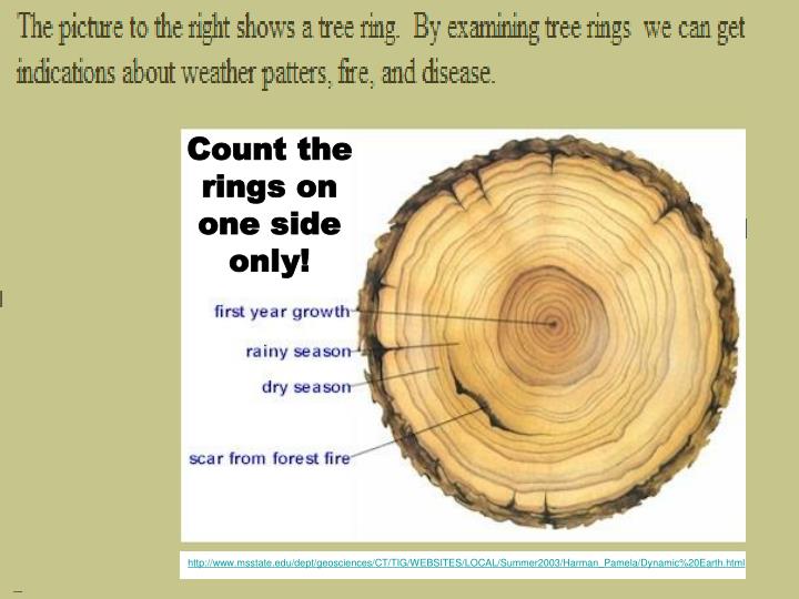 PPT Colt Park Tree Rings Lesson PowerPoint Presentation ID3734746