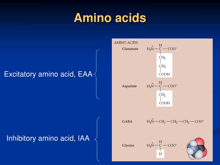 PPT Neurotransmitter PowerPoint Presentation ID3735781