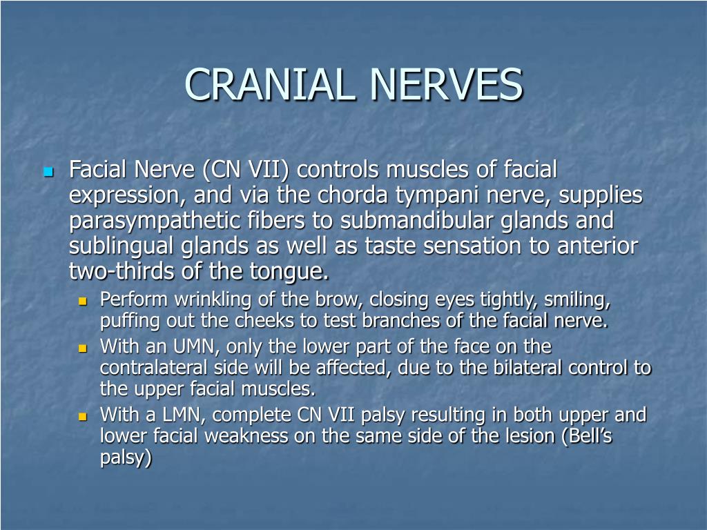 Ppt Clivus Bone Metastasis Review Of Cranial Nerves Powerpoint Presentation Id3735836 0257