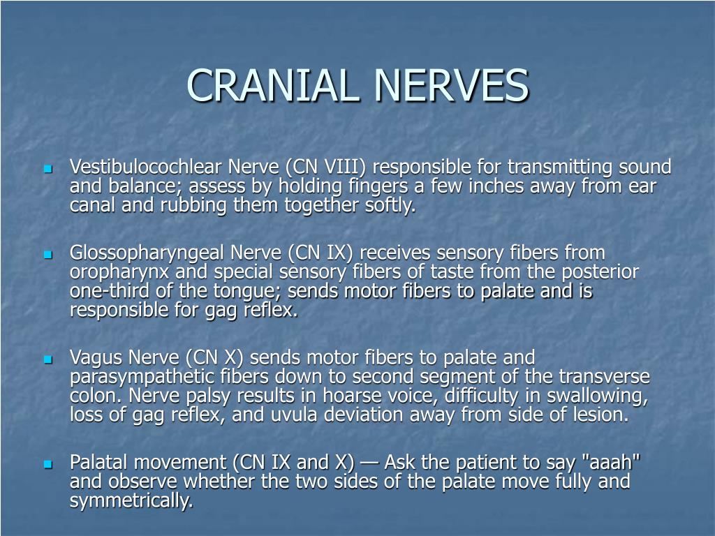 PPT - Clivus Bone Metastasis: Review of Cranial Nerves PowerPoint ...