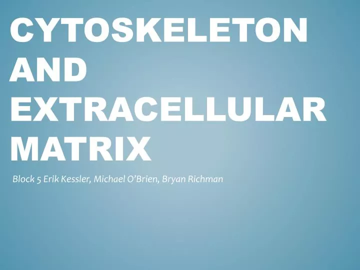 cytoskeleton and extracellular matrix n.