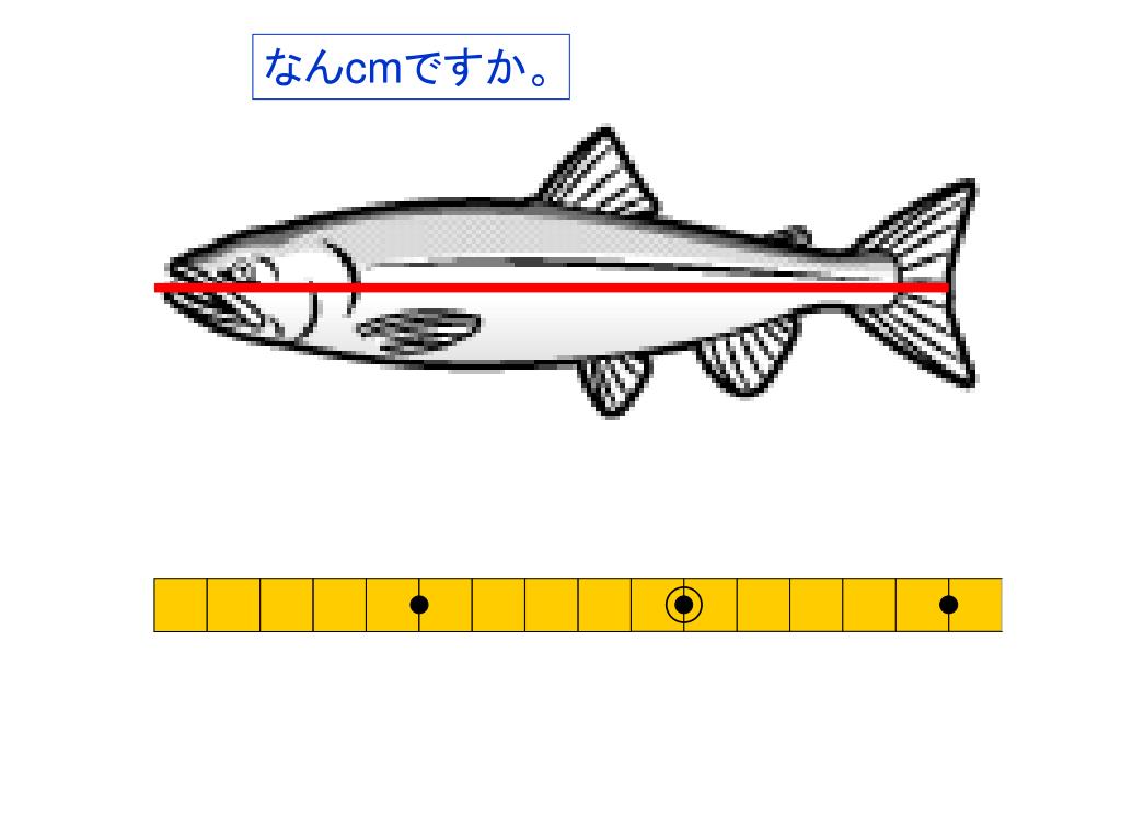 Ppt 長さを しらべよう Powerpoint Presentation Free Download Id