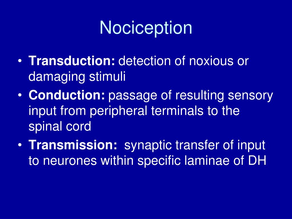 acute sensory perception definition acute sensory perception definition