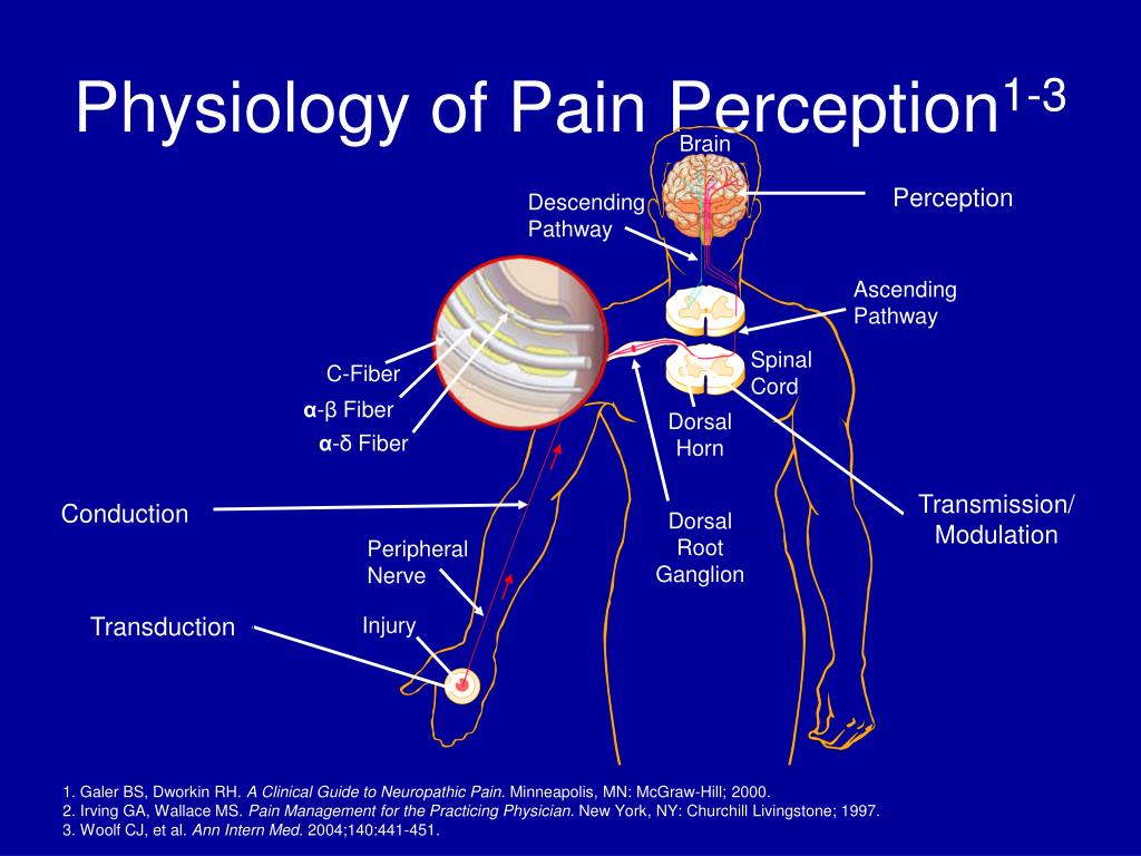 PPT  Pathophysiology of Acute & Chronic Pain PowerPoint Presentation