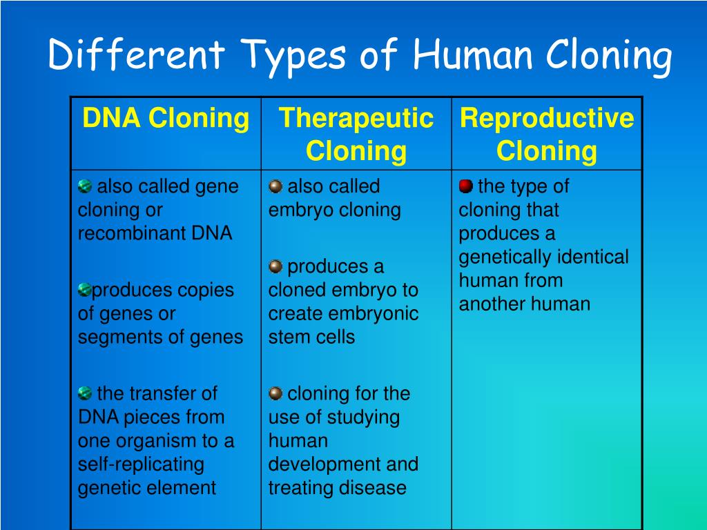 Human types. Types of Cloning. What is Human Cloning?. Reproductive and Therapeutic Human Cloning. The Ethics of Human Cloning.