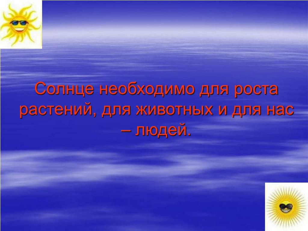 Необходимое солнце. Солнце нужно животным. Солнце нужно человеку растениям и животным. Цветам нужно солнце а людям.