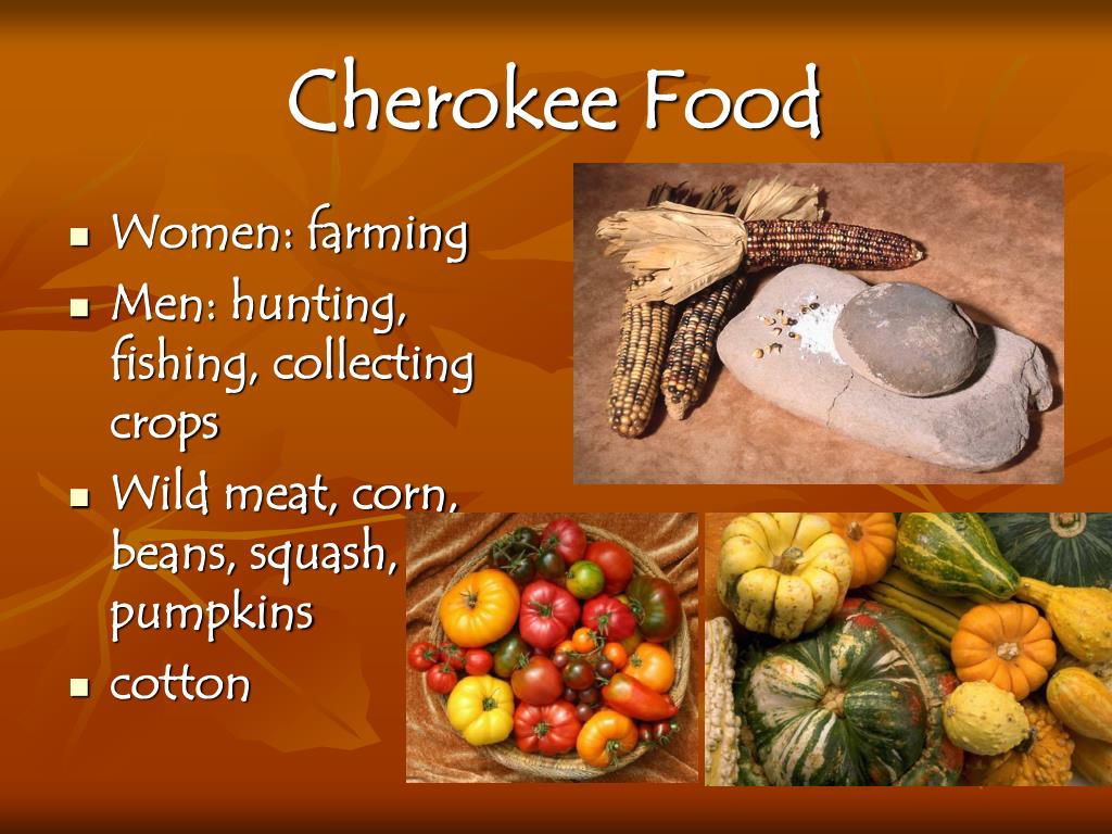 What Type Of Food Did The Cherokee Tribe Eat Deporecipe.co