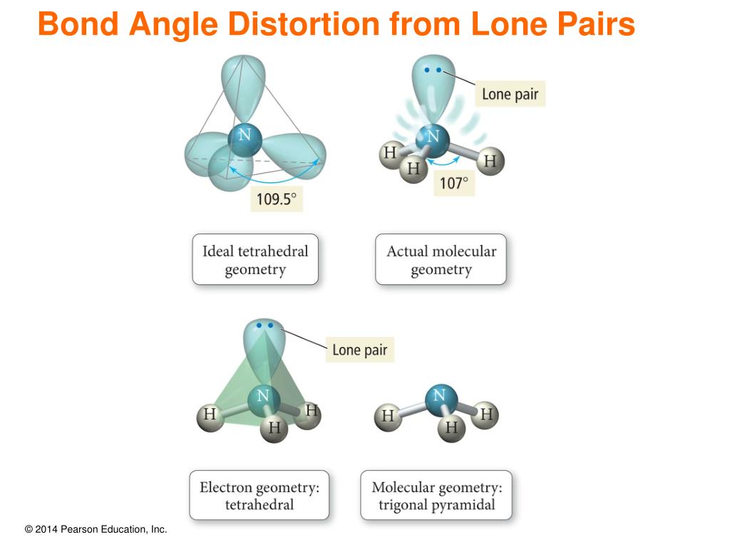 Bond Angle Distortion from Lone Pairs.