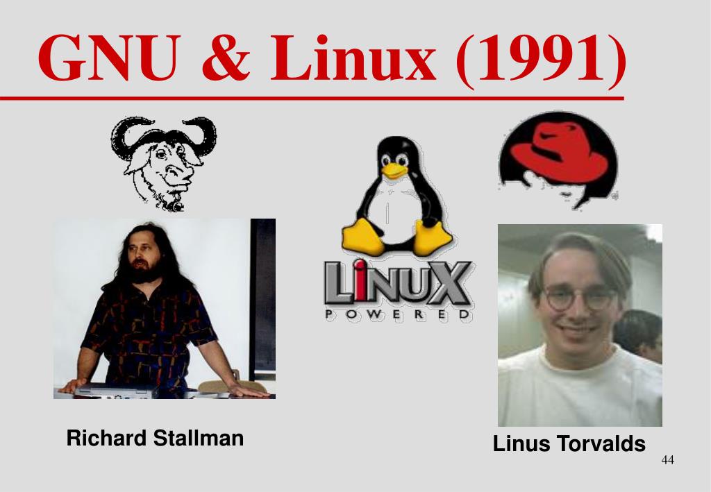 the linux kernel was developed and released in 1991 by the linux kernel was developed and released in 1991 by