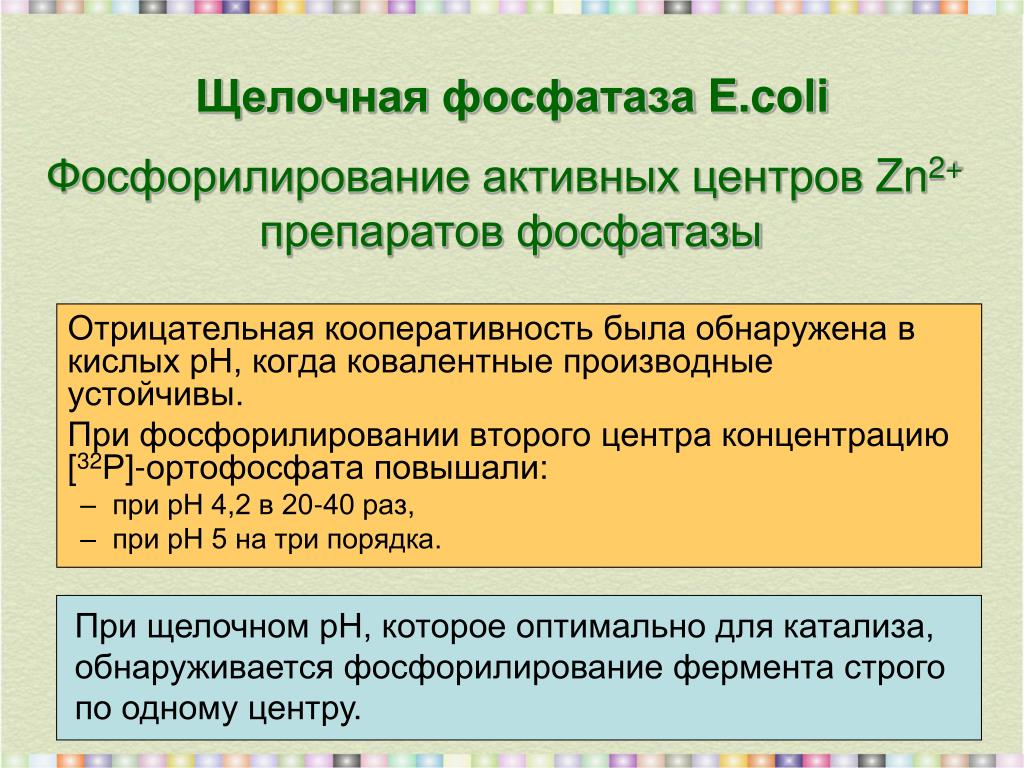 Почему повышена фосфатаза. Щелочная фосфатаза. Щелочная фосфатаза (ЩФ). Щелочная и кислая фосфатазы. Щелочная фосфатаза структура.