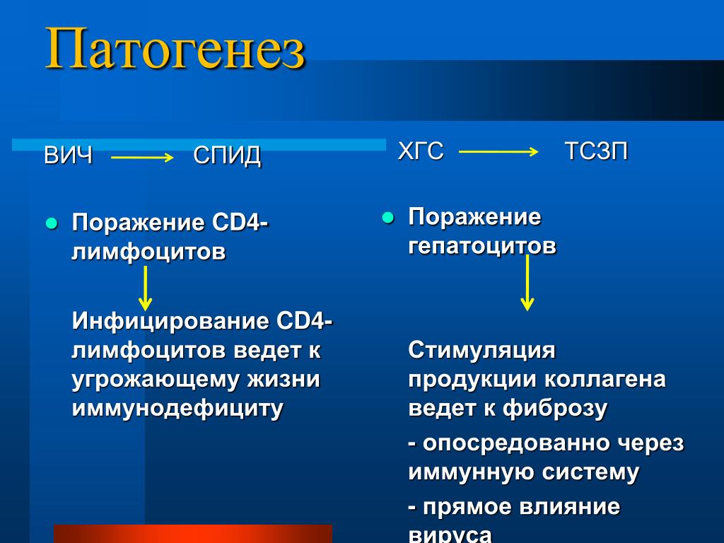 Приобретенные иммунодефициты спид. Патогенез синдрома приобретенного иммунодефицита (СПИД).. Синдром приобретенного иммунодефицита патогенез. Механизм развития ВИЧ. Патогенез ВИЧ инфекции.