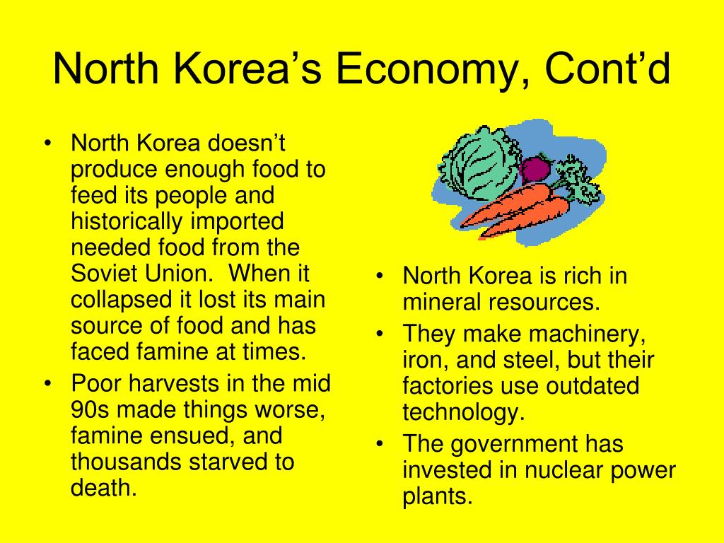 most economic decisions in north korea are made by