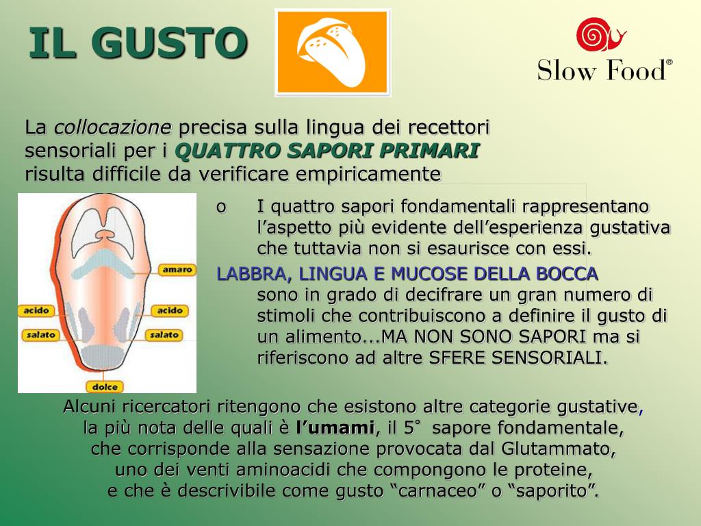 PPT La grammatica del Gusto … dall’assaggio libero alla degustazione