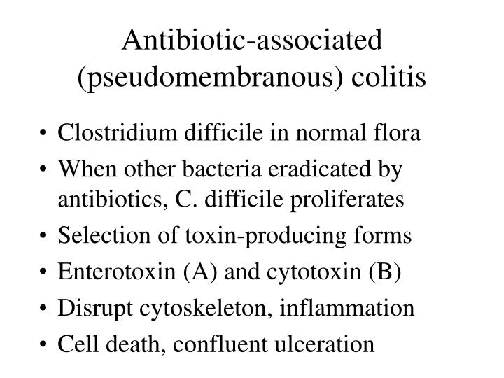 PPT - Pathogenesis of Diseases of the Large Intestine PowerPoint ...