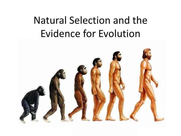 natural selection and evidence for evolution The evidence for evolution evolution by natural selection was indeed a favourite topic in society salons during the 1860s and beyond. natural selection and evidence for evolution The evidence for evolution evolution by natural selection was indeed a favourite topic in society salons during the 1860s and beyond.