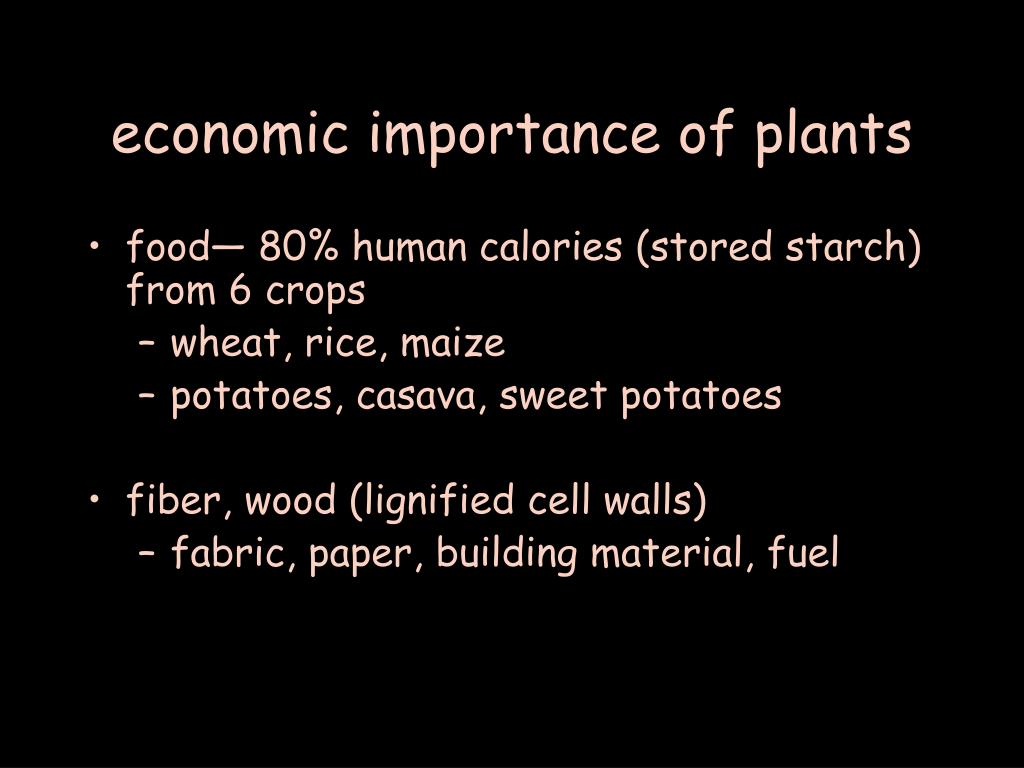PPT - economic importance of plants PowerPoint Presentation, free download  - ID:3746522
