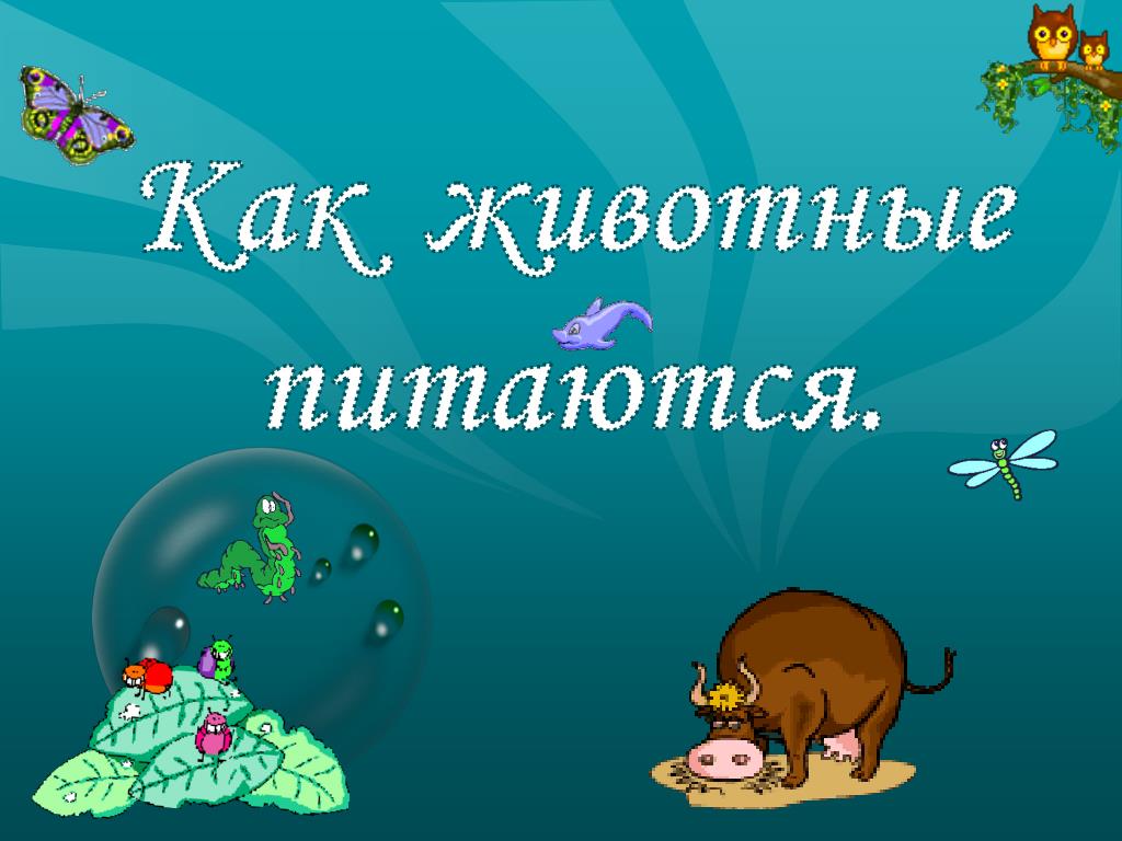 Жизнь животных 3 класс. Как питаются животные. Питание животных 3 класс. Презентация о питании животных 3 класс. Презентация на тему как питаются животные.