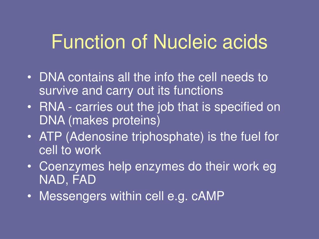 PPT Proteins and Nucleic Acids PowerPoint Presentation, free download