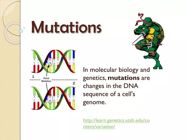 Ppt mutations powerpoint presentation free download id 3749401