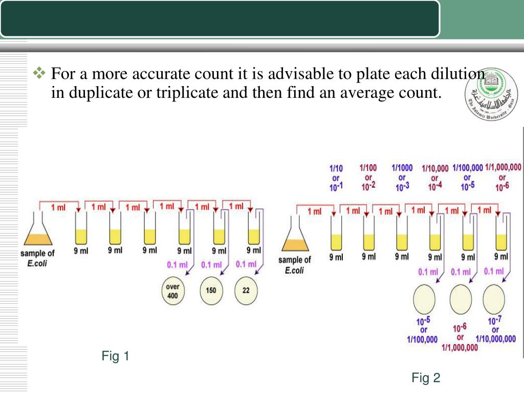 serial dilution serial dilution