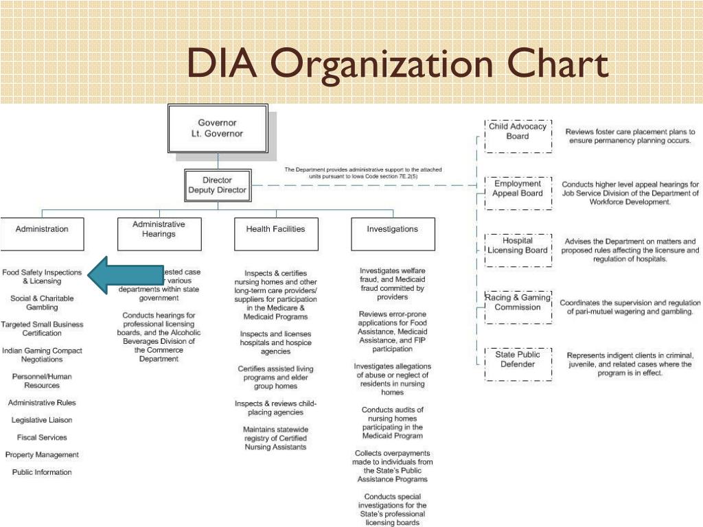 Assisted Living Organizational Chart