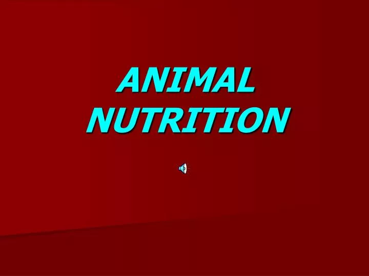 PPT - ANIMAL NUTRITION PowerPoint Presentation, free download - ID:3751056