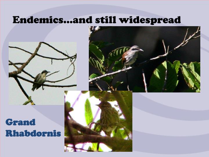 PPT - PHILIPPINE BIODIVERSITY STATUS PowerPoint Presentation - ID:3752585