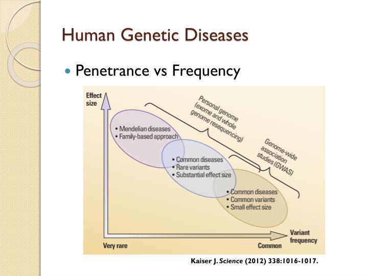 PPT Exome Sequencing as Molecular Diagnostic Tool of Mendelian Diseases PowerPoint