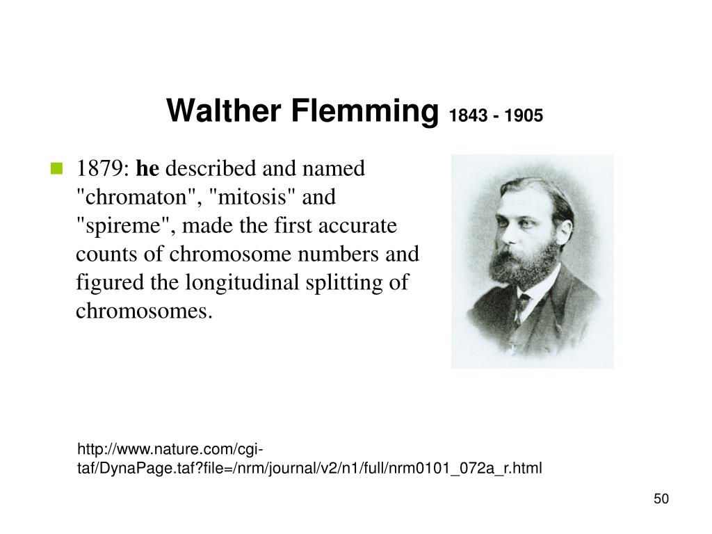 性科学の誕生 欲望/消費/個人主義1871-1914(ローレンス