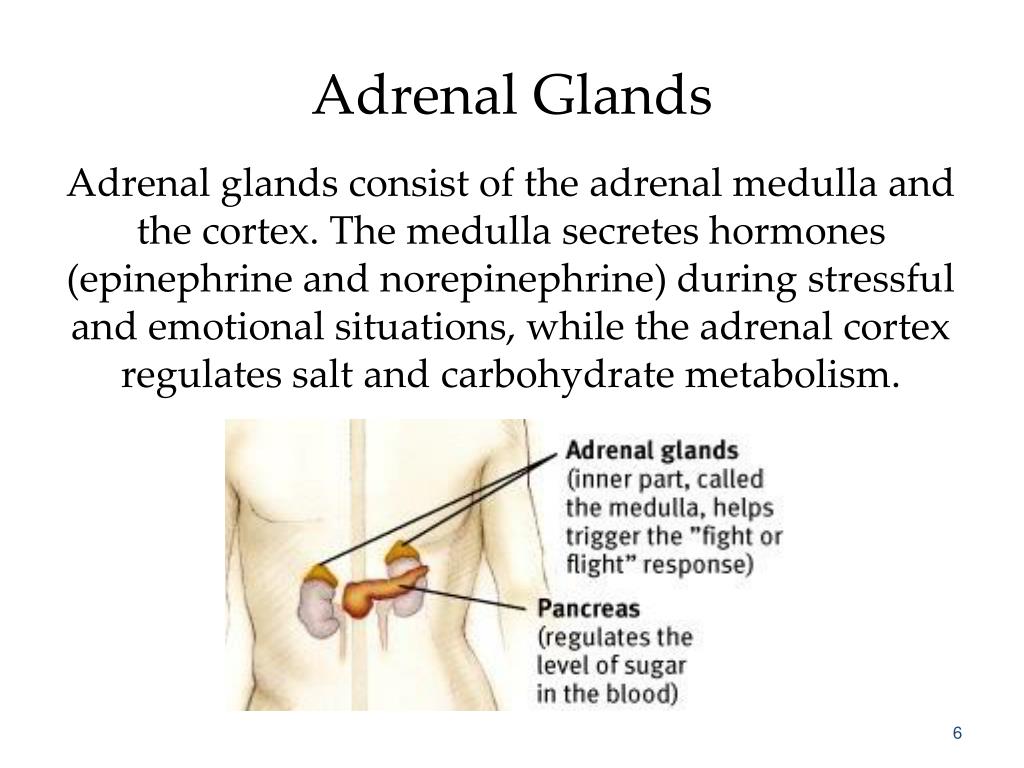 adrenal gland hyperactivity