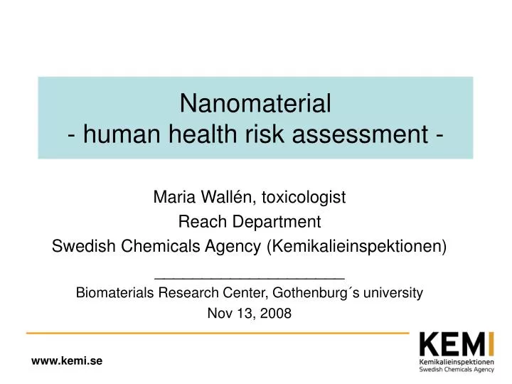 nanomaterial human health risk assessment n.