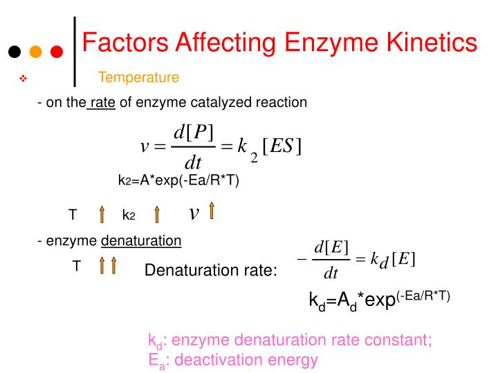 factors affecting the rate of enzyme Several factors influence the activity of enzymes in metabolic reactions: thermodynamics (temperature based changes), kinetics (movement), inhibition (chemical interference), cofactors (other molecules) can all play a role. factors affecting the rate of enzyme Several factors influence the activity of enzymes in metabolic reactions: thermodynamics (temperature based changes), kinetics (movement), inhibition (chemical interference), cofactors (other molecules) can all play a role.