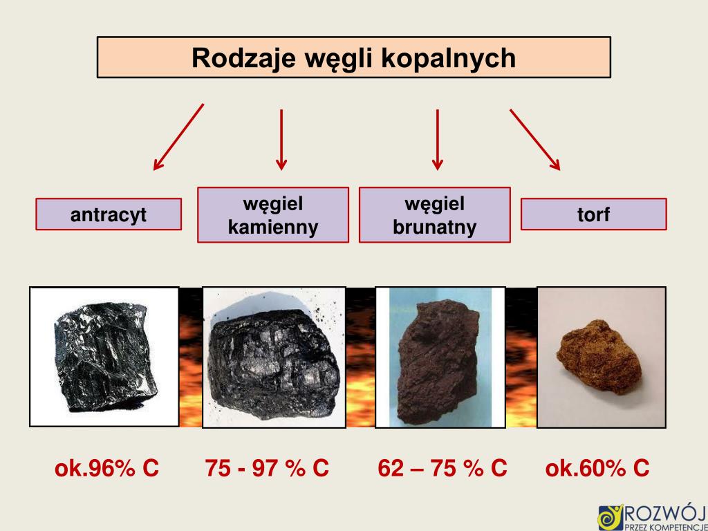 Powstanie Pokładów Węgla Kamiennego W Karbonie Jaka To Era PPT - Ten co mieszka w 14 grupie i 2 okresie PowerPoint Presentation