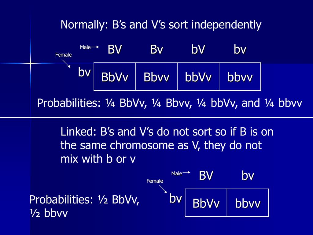 Ppt Genetics Beyond Mendel Powerpoint Presentation Free Download Id