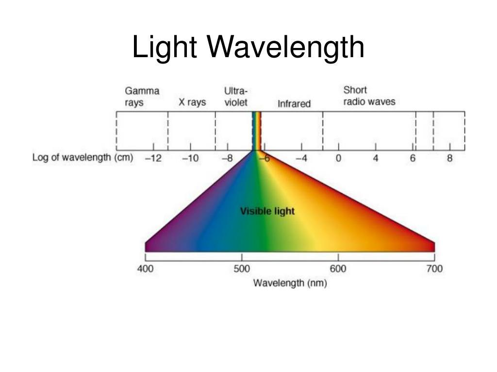 Длина волны видимого света в мкм