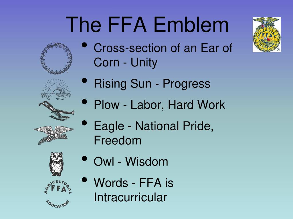 What Does The Words Represent In Ffa