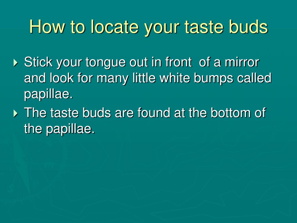 what to do to get your taste buds back