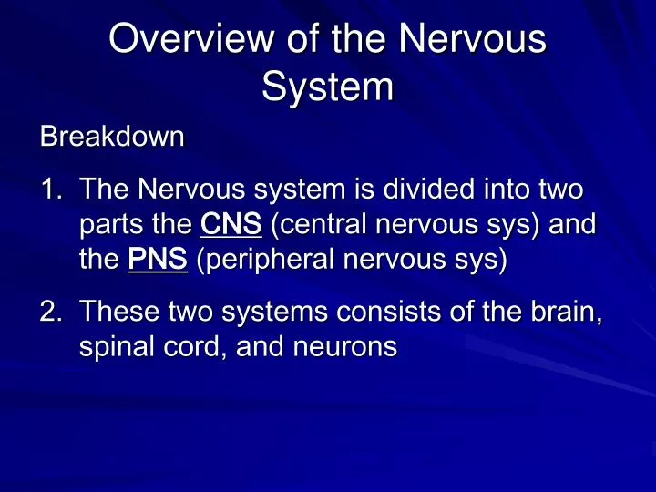 Ppt Overview Of The Nervous System Powerpoint Presentation Free Download Id3765062 4288