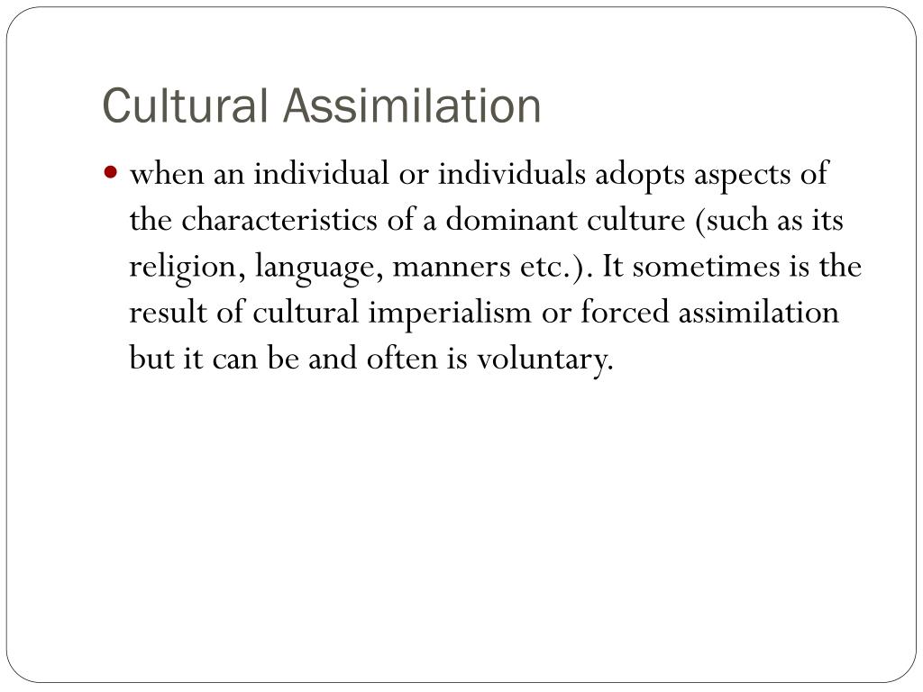 essay on cultural assimilation