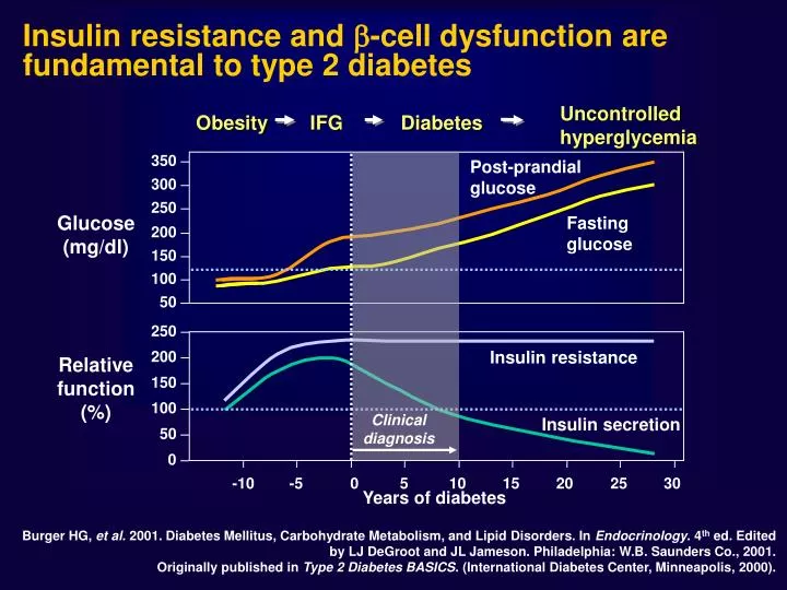 PPT - Insulin resistance and -cell dysfunction are fundamental to type ...