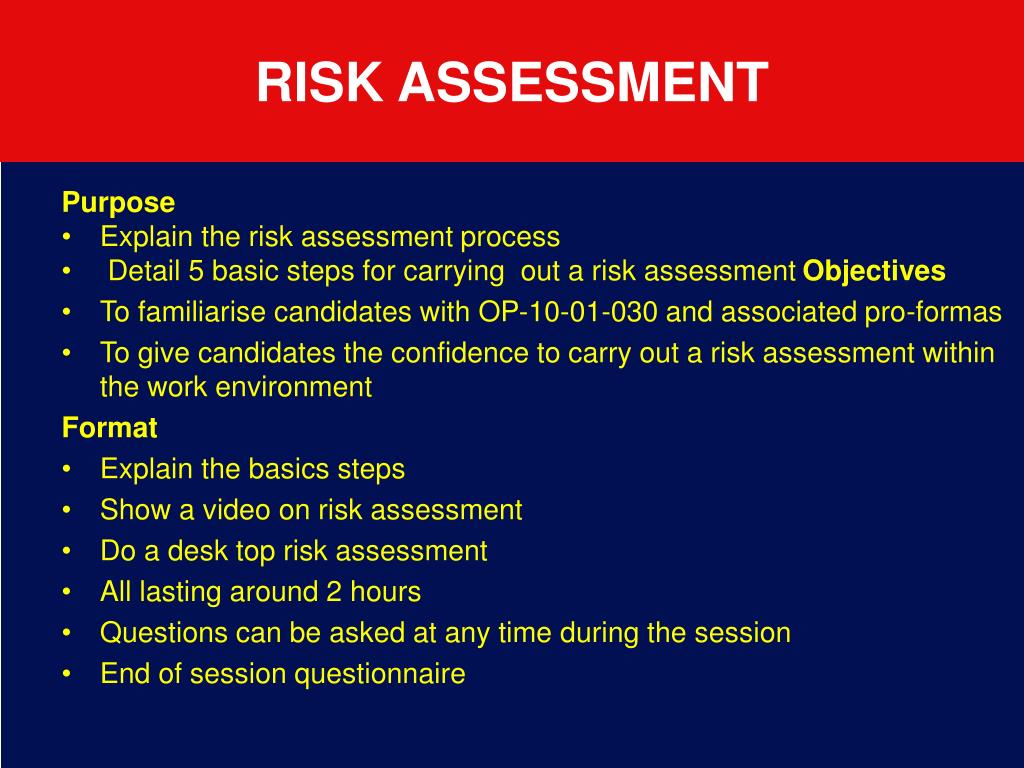 risk assessment definition