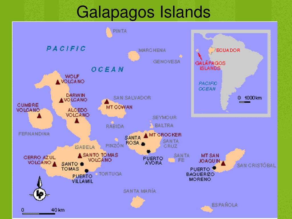 Где находиться галапагосские острова