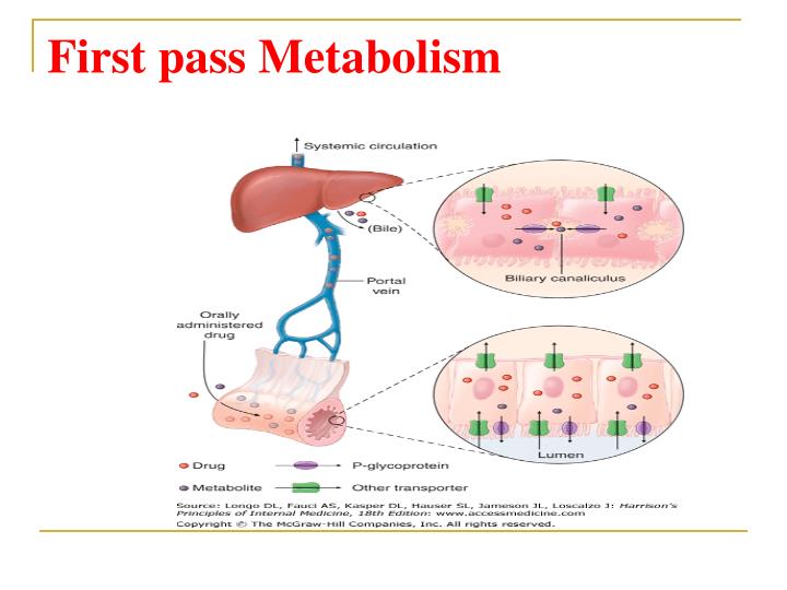 ppt-general-pharmacology-pharmacokinetics-drug-and-administration