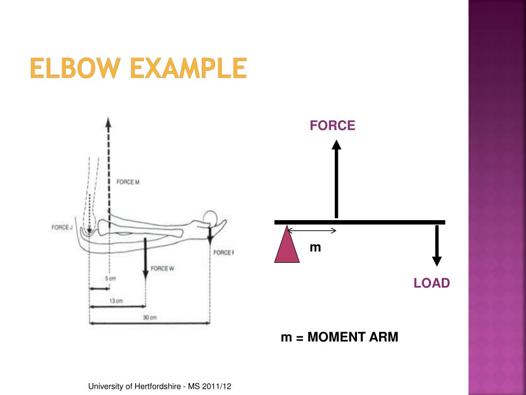 PPT Biomechanics PowerPoint Presentation Free Download ID 3769312 PPT Biomechanics PowerPoint Presentation Free Download ID 3769312