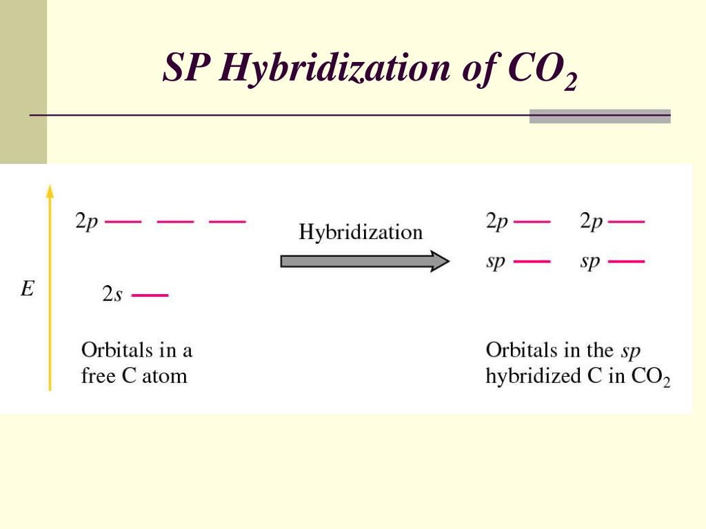 co2 hybridization