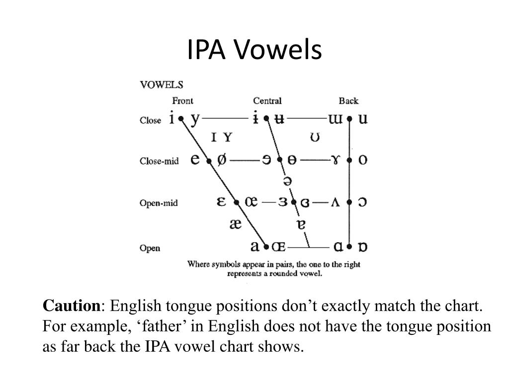 Matching position. IPA English Vowels. IPA Vowel Chart. Vowels таблица. Vowel Chart English.
