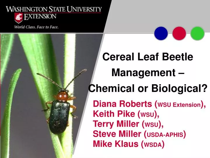 cereal leaf beetle management chemical or biological n.