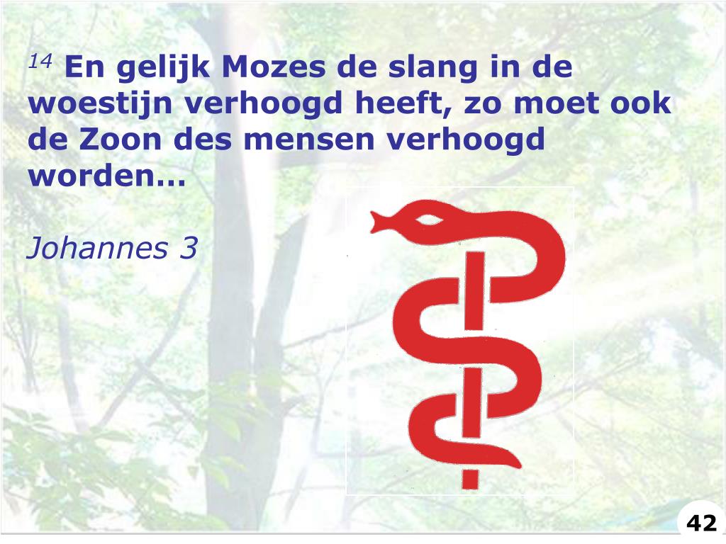 PPT De Slang In De Hof PowerPoint Presentation Free Download ID 