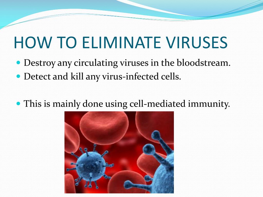 PPT - Protecting Our Bodies: Our Battle Against Microbes PowerPoint ...